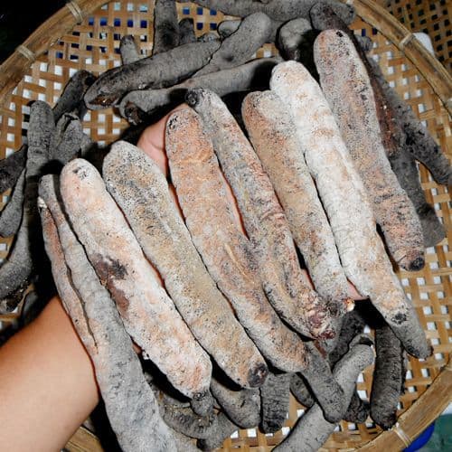 Dried Lolly Fish Sea Cucumber